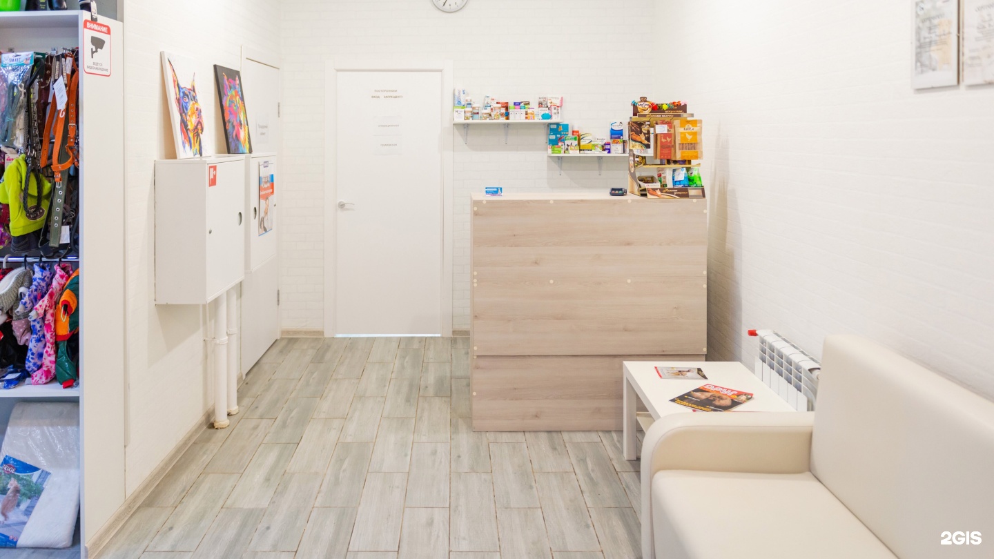 пушкино просвещение 12 к 2. ветеринарная клиника балто москва. балто ветеринарная клиника. сдэк проспект просвещения 20/25.