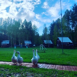 Фото от владельца Маяк, база отдыха