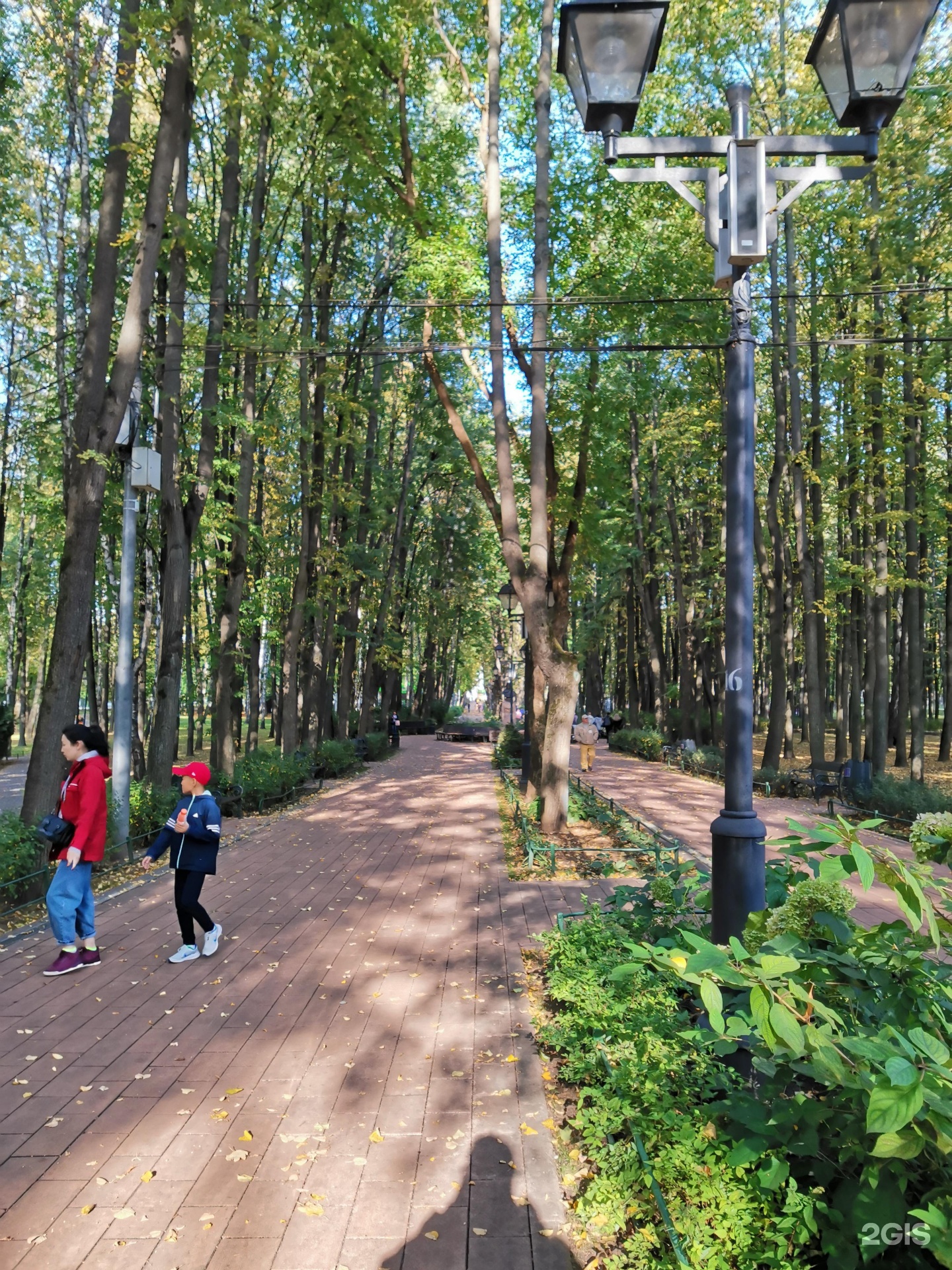 Бабушкинский парк москва фото