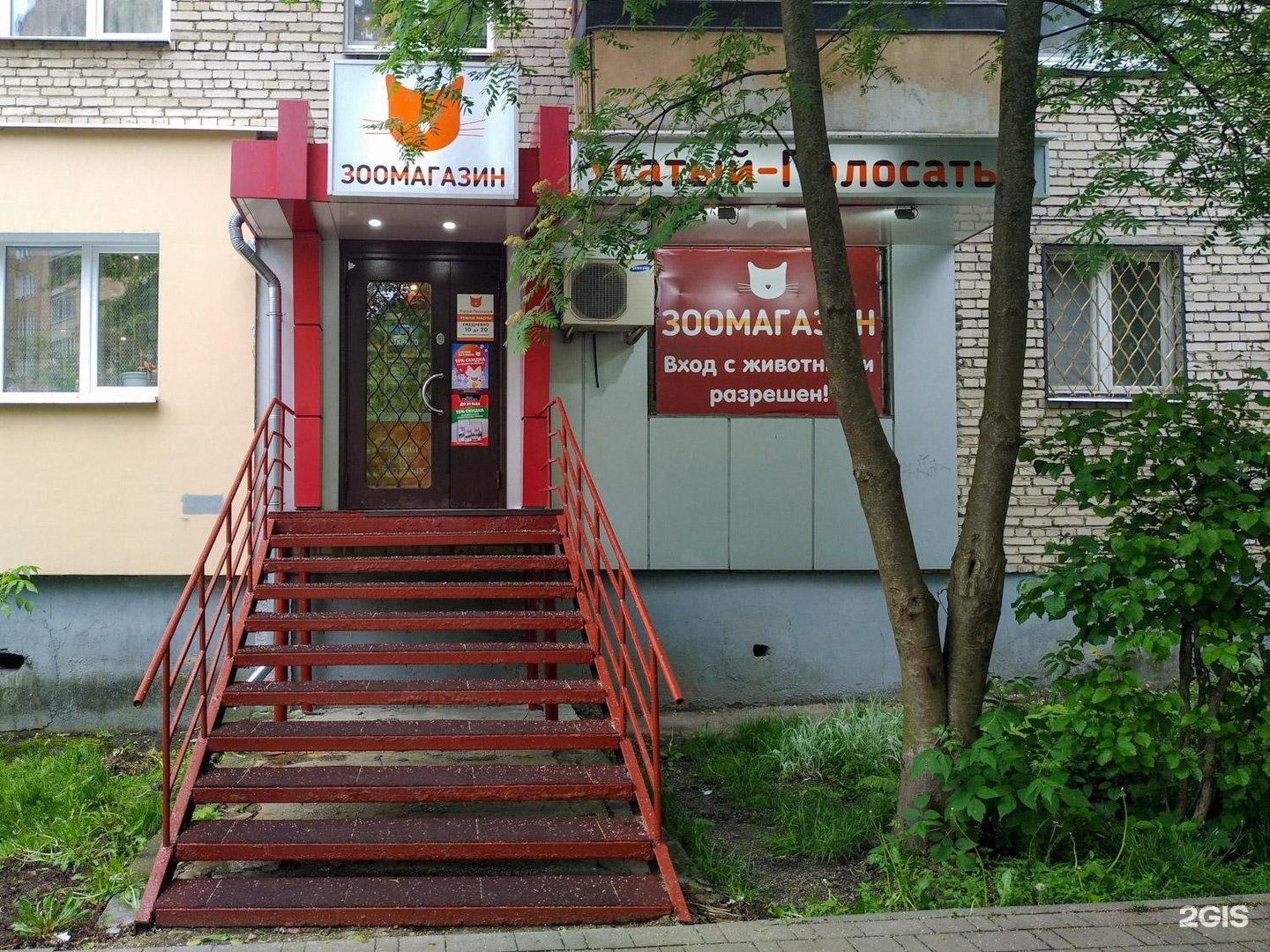 зоомагазин усатый полосатый