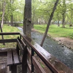 Фото от владельца Городской парк культуры и отдыха им. Ю.А. Гагарина