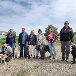 Фото от владельца Анкур, спортивно-кинологический центр