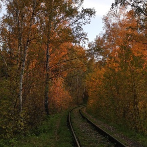 Фото от владельца Сосновый бор, парк культуры и отдыха