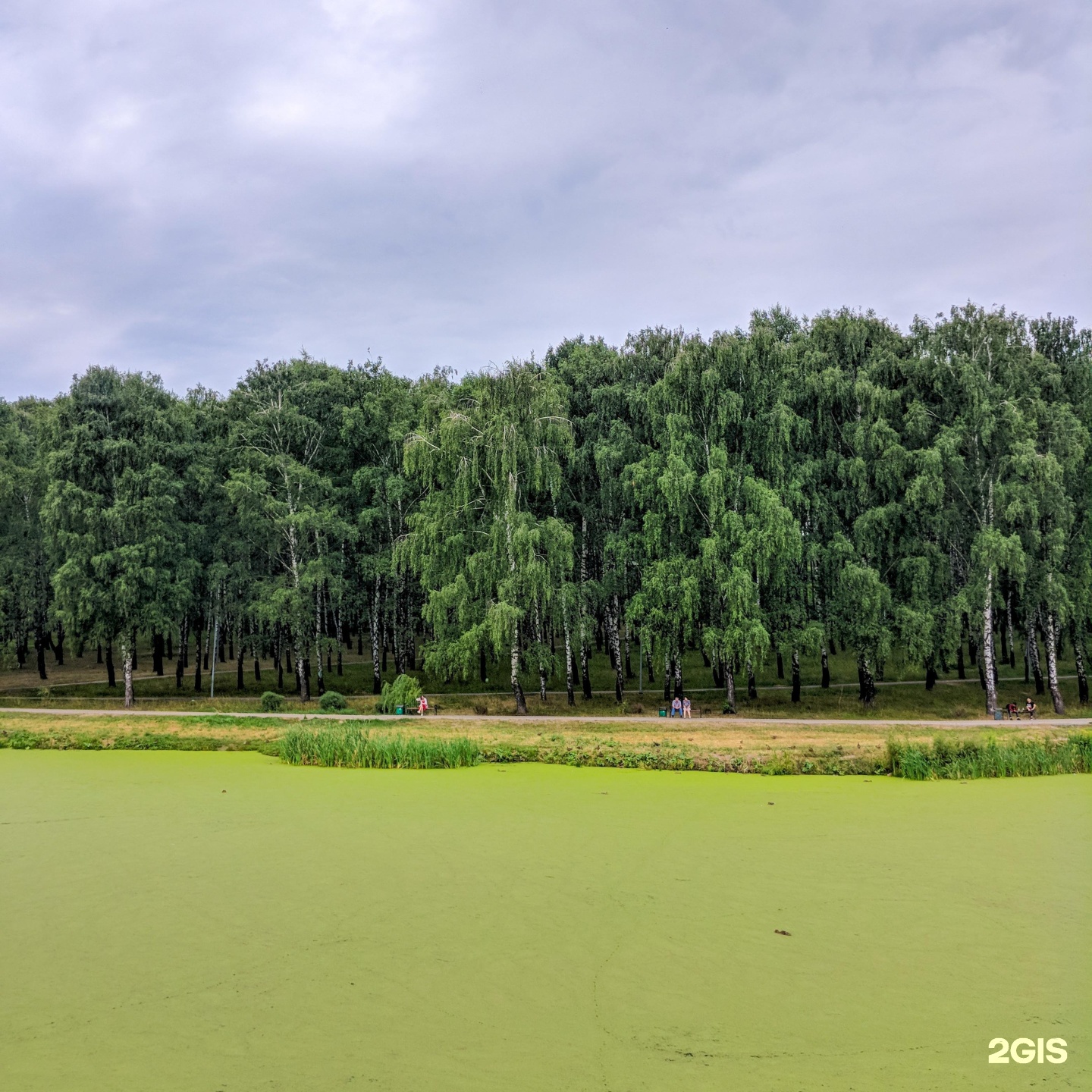 пролетарский парк саранск