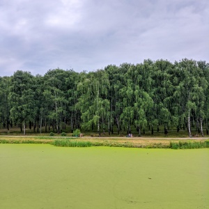 Фото от владельца Пролетарский, парк культуры и отдыха