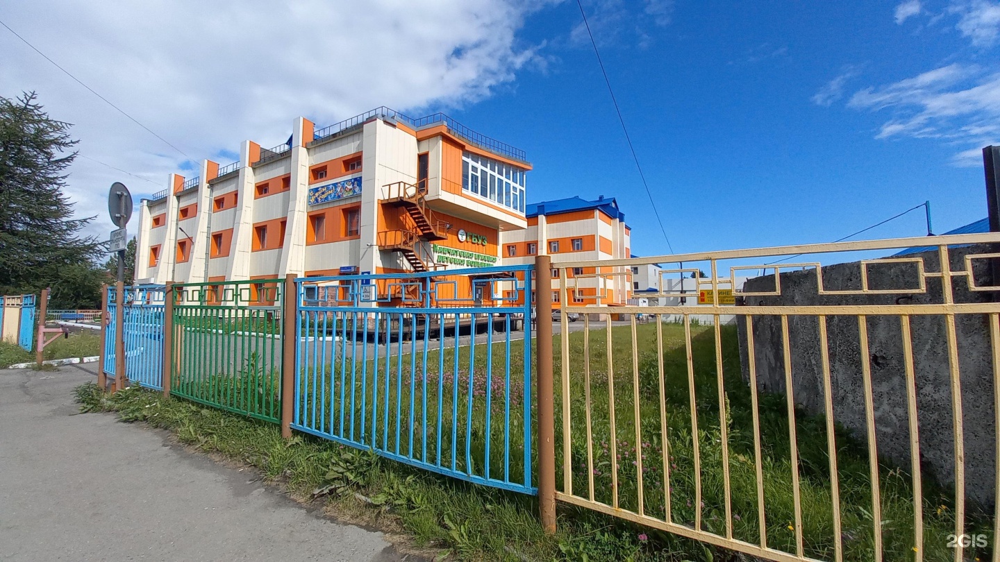 Медитекс камчатский