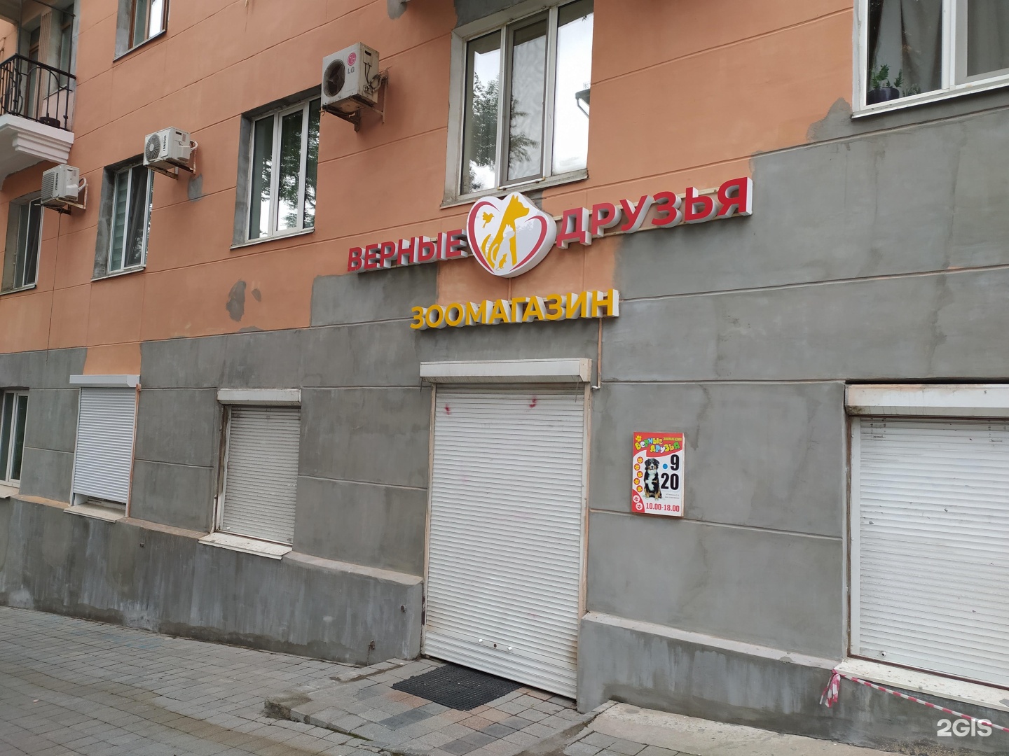 зоомагазин казань верный друг. зоомагазин верные друзья. зоомагазин друг. зоомагазин дружок. зоомагазин васька хабаровск.