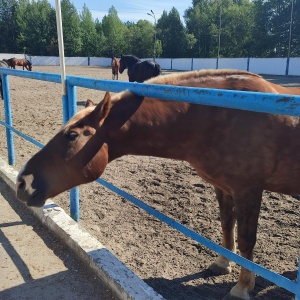 Фото от владельца Здоровье, спортивно-оздоровительная база