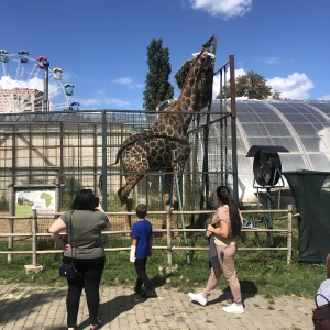 Фото от владельца Солнечный остров, парк культуры и отдыха