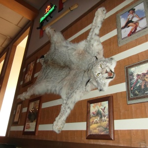 Фото от владельца Twin Peaks, ресторан