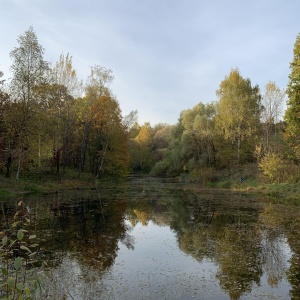 Фото от владельца Лианозовский, парк культуры и отдыха