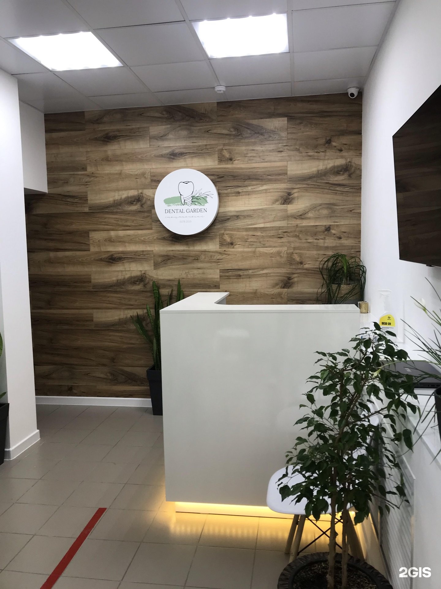 Dental lounge батуми. дентал гарден. стоматология в великобритании. дентал гарден. дентал гарден.