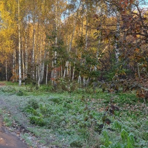 Фото от владельца Лосиный остров, национальный парк