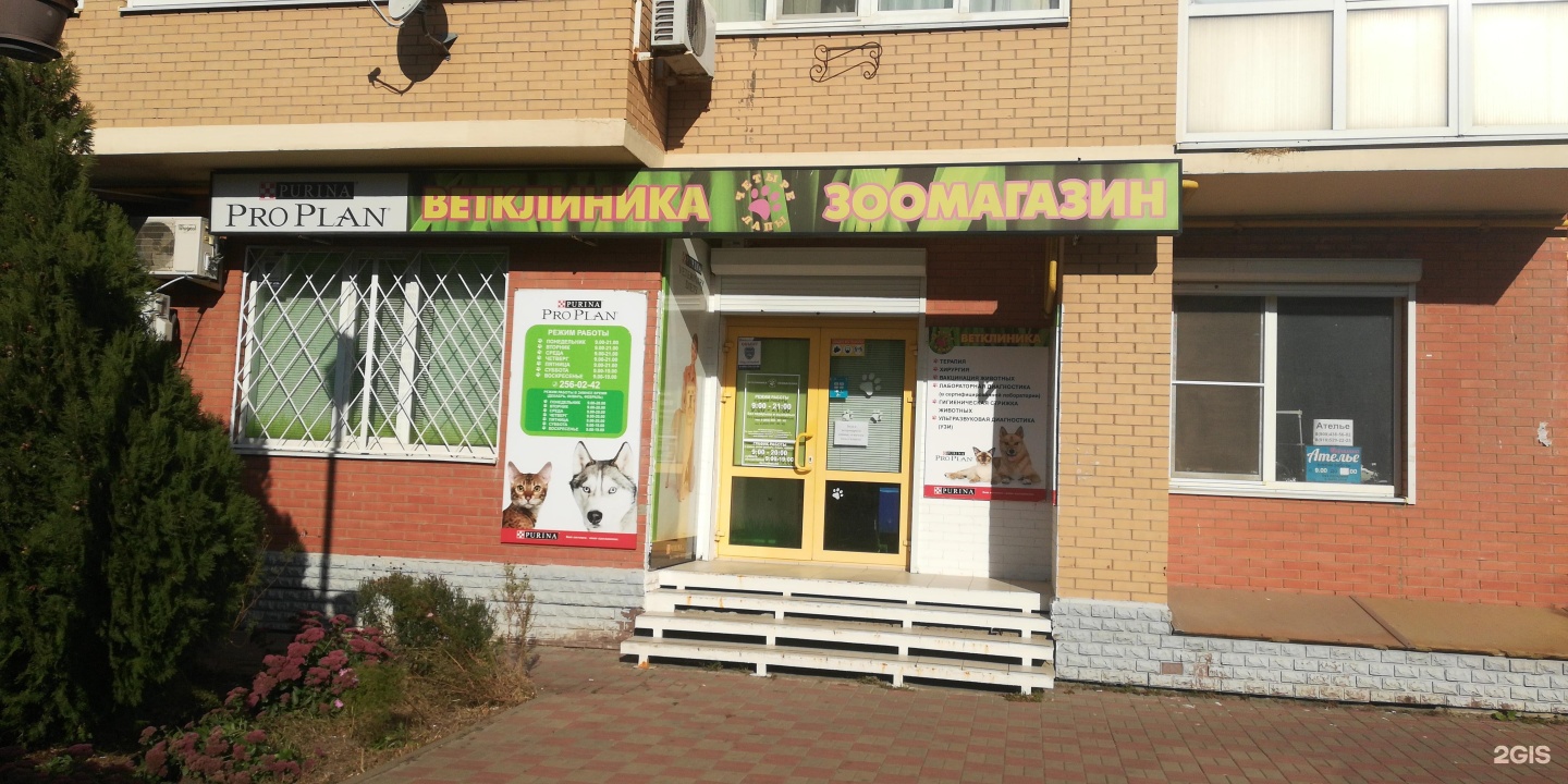 Клиники батайск