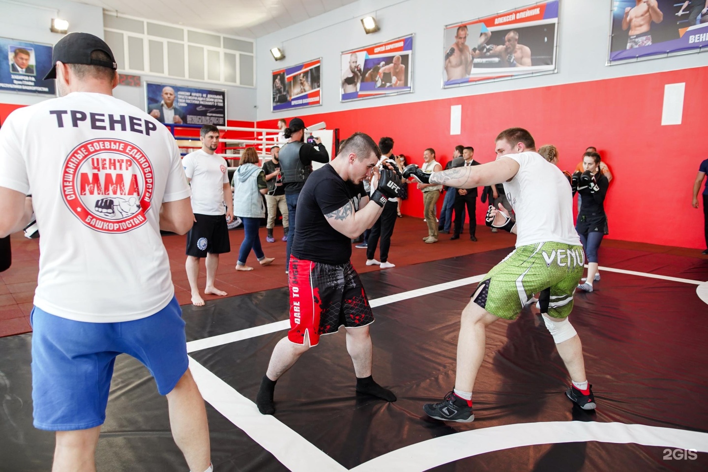 Смешанные единоборства клуб. Мма центр. Центр мма уфа. Мма центр. Секция бокса пермь.