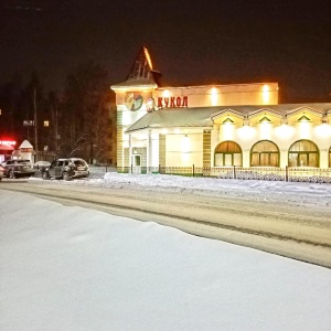 Фото от владельца Волшебная Флейта, театр кукол