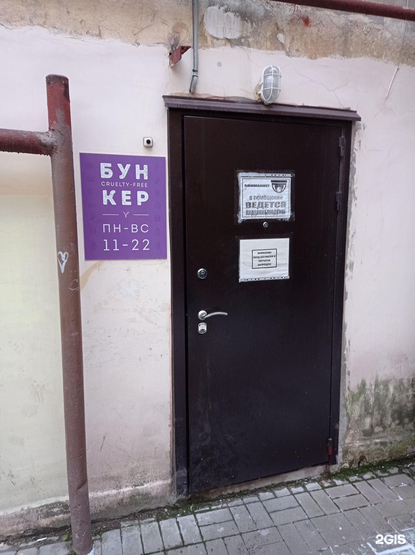 Веган бункер. Веган бункер. Веган бункер. Веган бункер. Веган бункер питер.