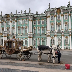 Фото от владельца Государственный Эрмитаж