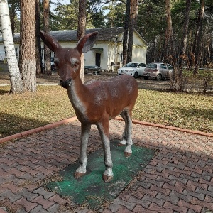 Фото от владельца Прокопьевский, ПАО, санаторий