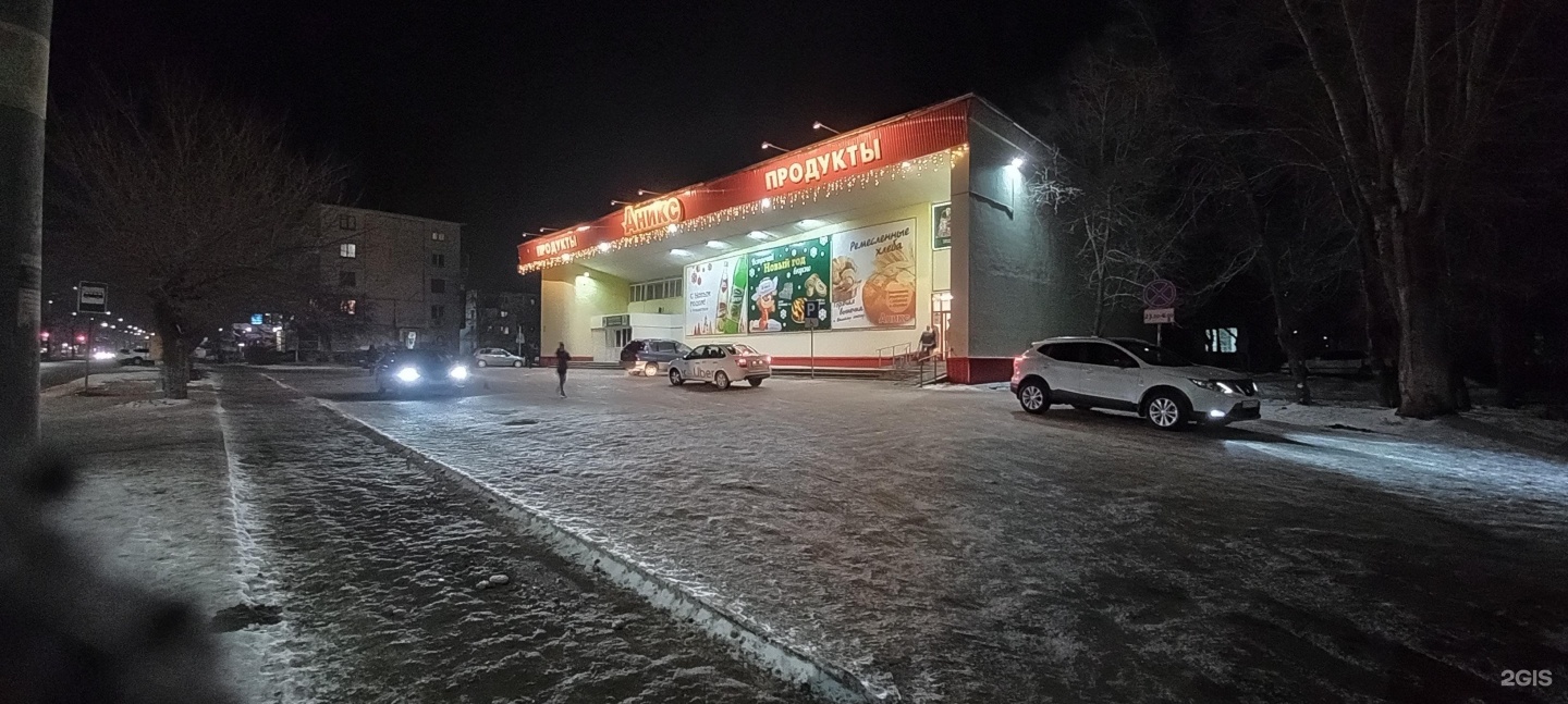 Аникс бийск