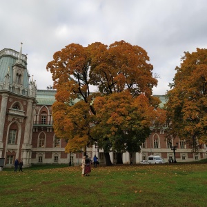 Фото от владельца Царицыно, парк культуры и отдыха