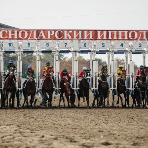 Фото от владельца Краснодарский ипподром