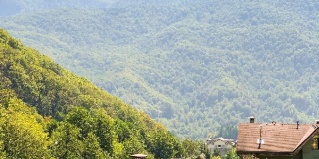 Красная Поляна: Гостевой дом Арт ковчег