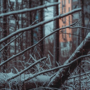 Фото от владельца Лосиный остров, национальный парк