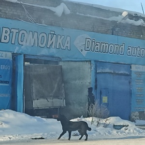 Фото от владельца Диамант, автомойка