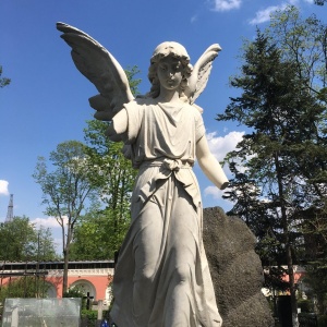 Фото от владельца Донское кладбище
