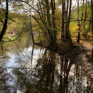 Фото от владельца Кузьминки, парк культуры и отдыха