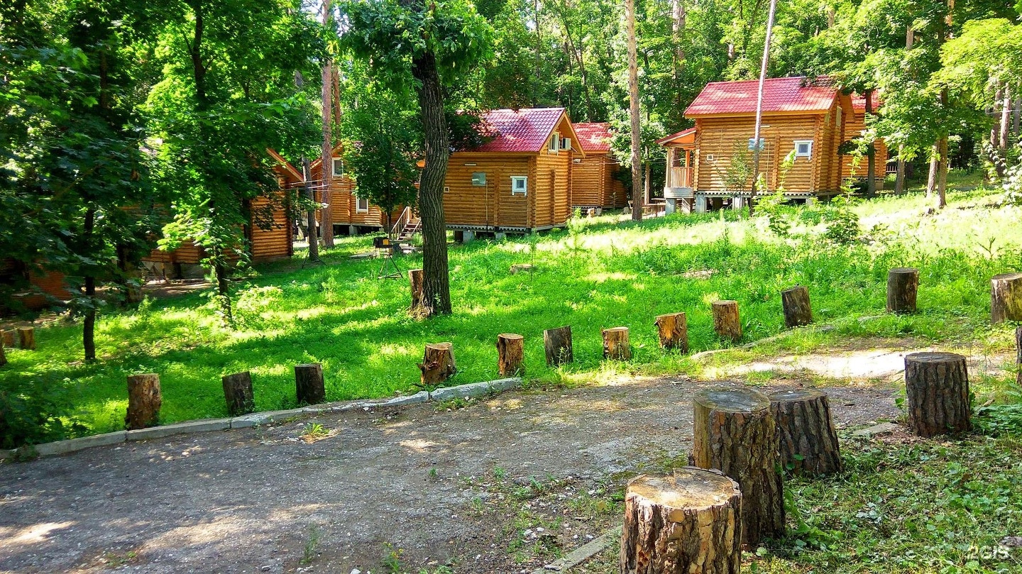 Форрест турбаза самара. Парк отель верхний Бор. Парк-отель верхний Бор Самара. Верхний Бор турбаза Самара. Сосновый Бор турбаза Мишелевка.