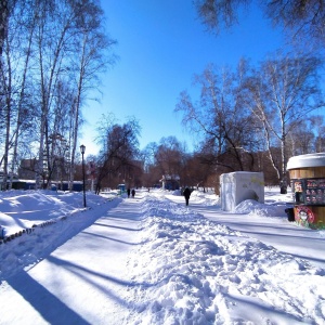 Фото от владельца Берёзовая роща, парк культуры и отдыха