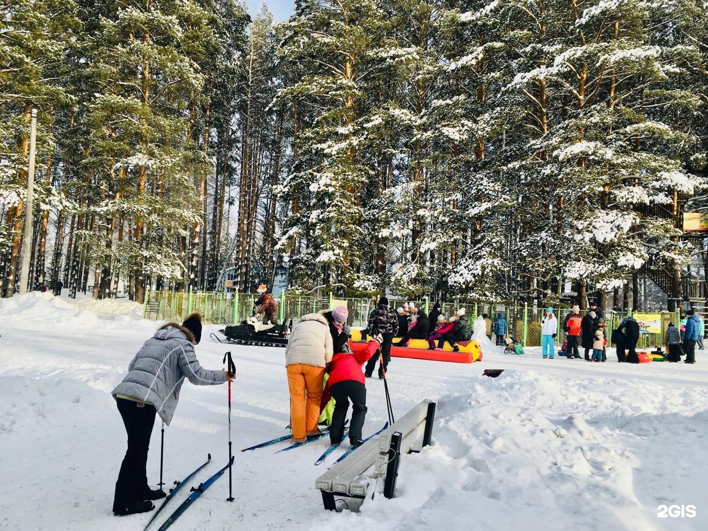 Лесная сказка новокузнецк