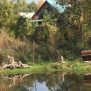 Фото от владельца Ковчег, гостевой дом