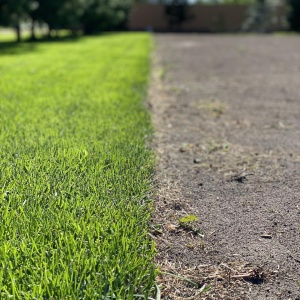 Фото от владельца Братья Green, группа компаний