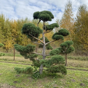 Фото от владельца Братья Green, группа компаний