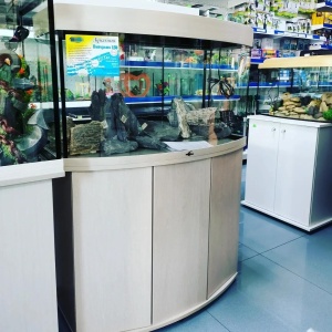 Фото от владельца Современный аквариум, магазин зоотоваров