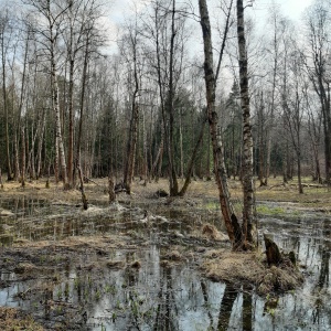 Фото от владельца Лосиный остров, национальный парк