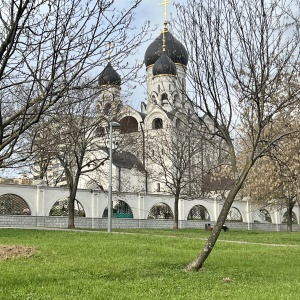 Фото от владельца Храм Преподобного Серафима Саровского в Раеве