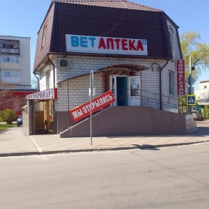 Фото от владельца Ветеринар, лечебно-диагностический центр доктора К.М. Осипова