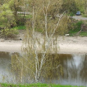 Фото от владельца Городской парк культуры и отдыха им. Виктора Талалихина