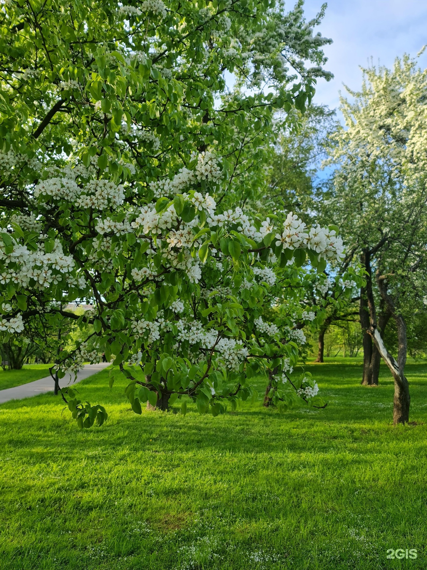 Летняя 1 москва