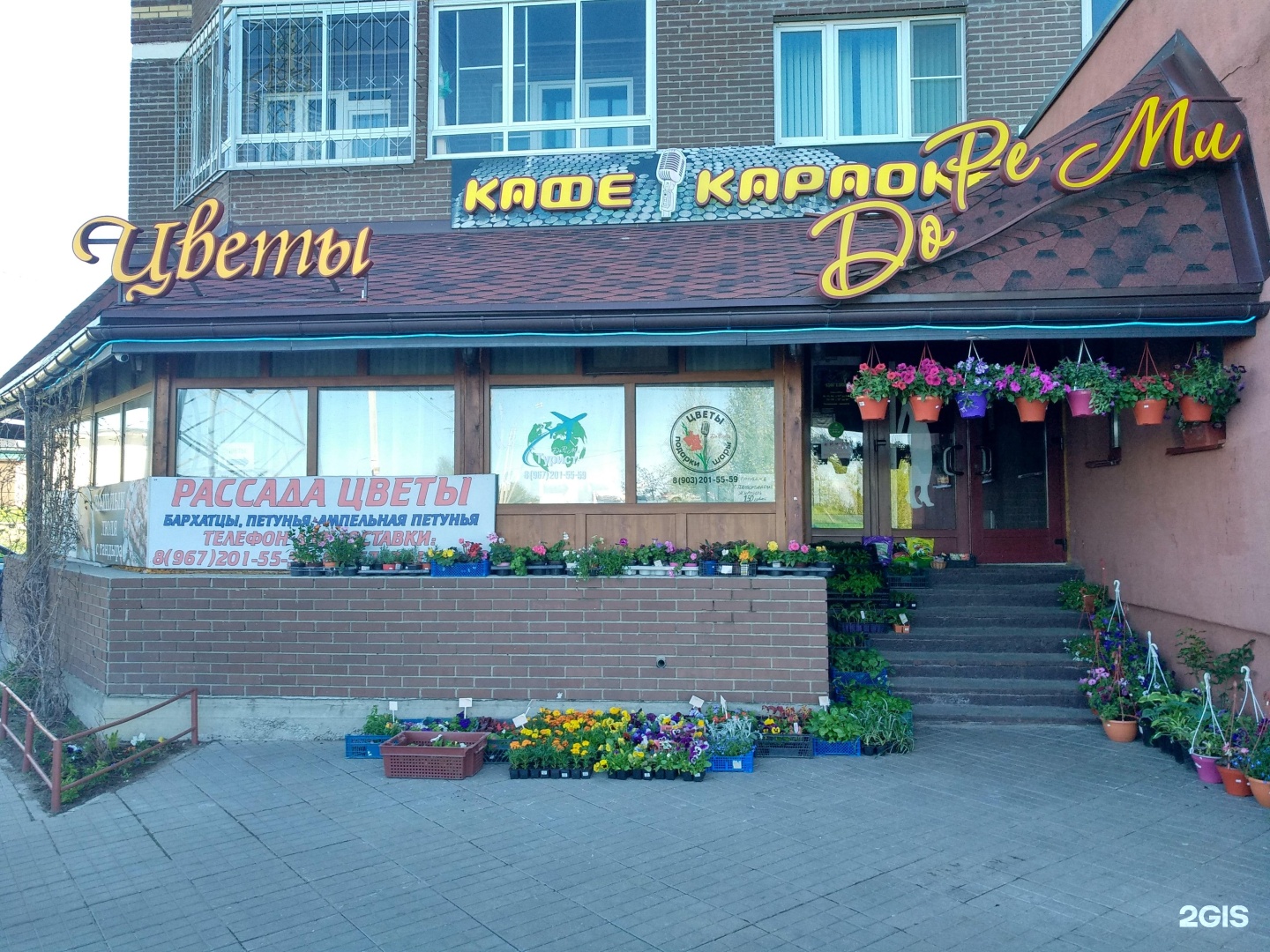 Кафе партизанск