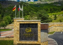 с. Гусыра: Отель Forrest terrace hotel