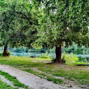 Фото от владельца Городской парк культуры и отдыха им. Виктора Талалихина