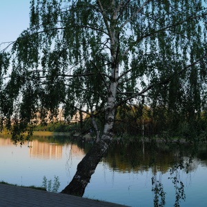 Фото от владельца Алтуфьево, парк-усадьба