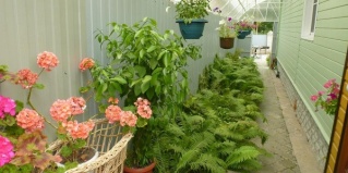 Суздаль: Гостевой дом Спасс