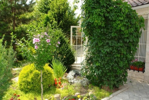 Ессентуки: Отель Крокус SPA