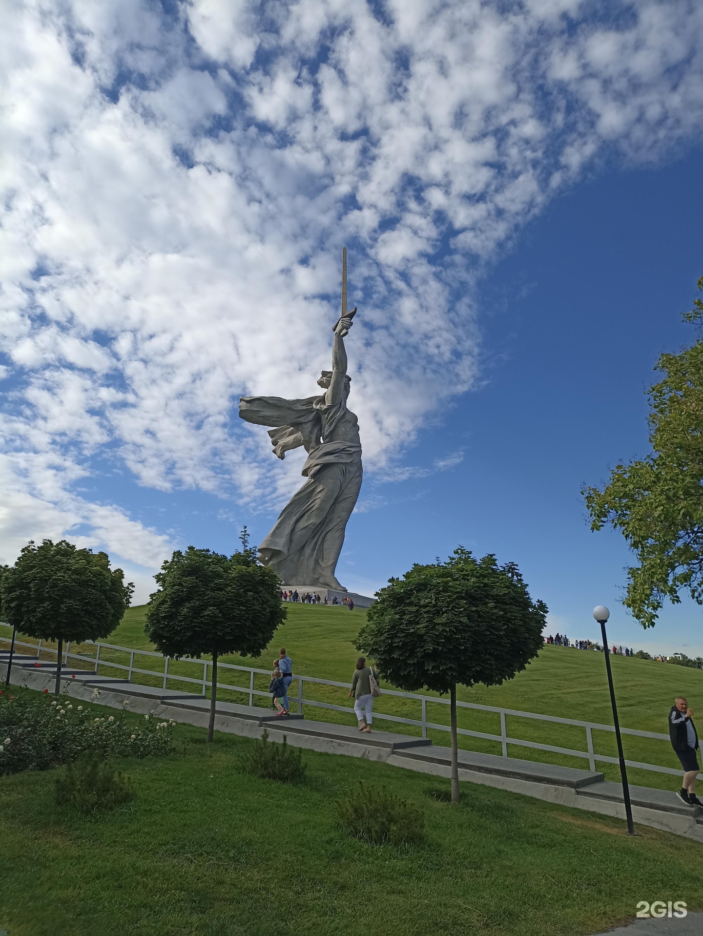 волга раст на мамаевом кургане волгоград фото 46